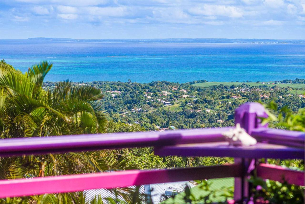 Piton Bungalows Ecolodges Deshaies Exteriér fotografie