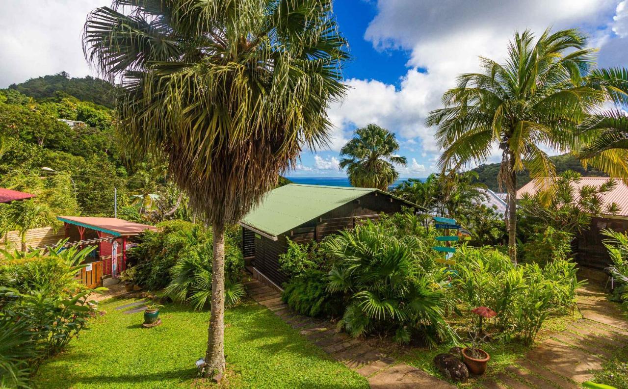 Piton Bungalows Ecolodges Deshaies Exteriér fotografie