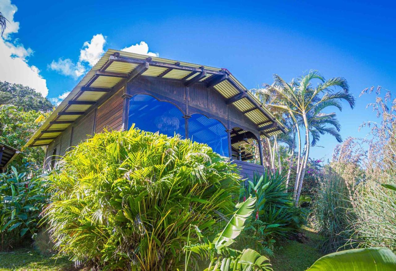 Piton Bungalows Ecolodges Deshaies Exteriér fotografie