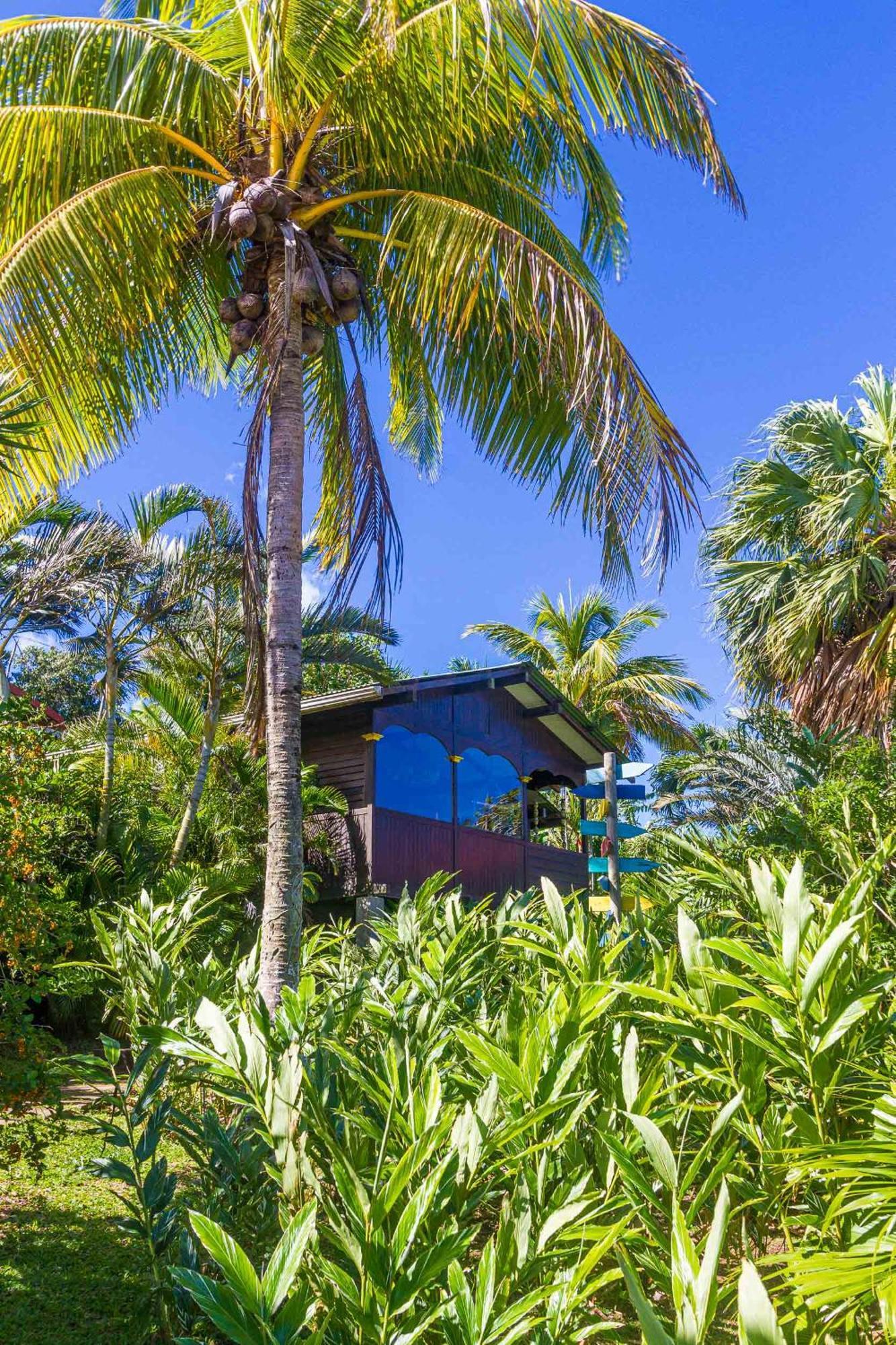 Piton Bungalows Ecolodges Deshaies Exteriér fotografie