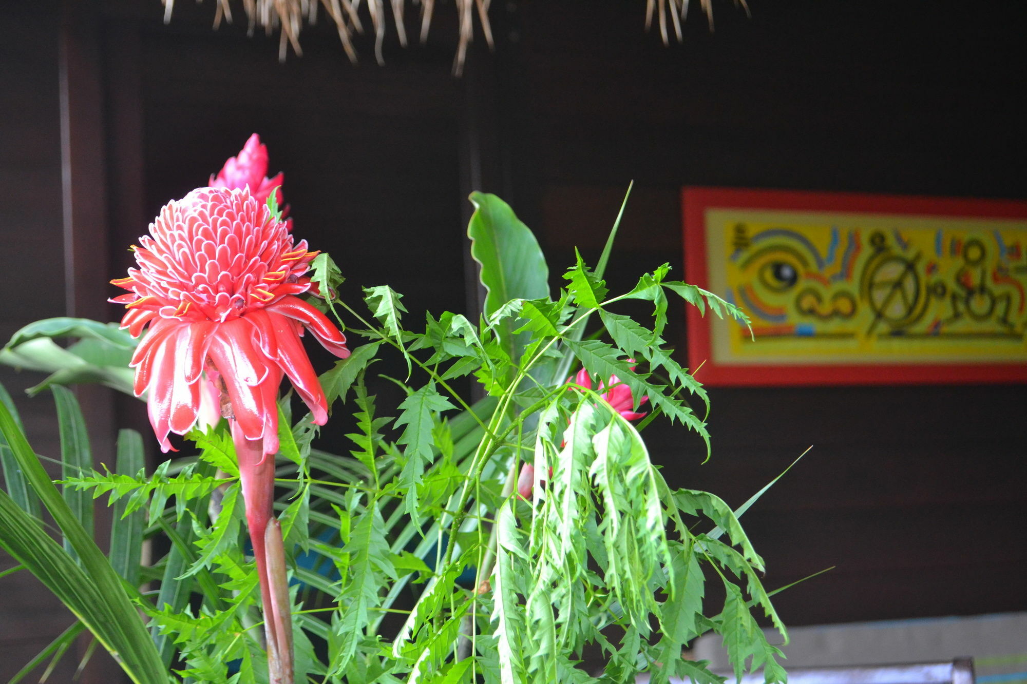 Piton Bungalows Ecolodges Deshaies Exteriér fotografie