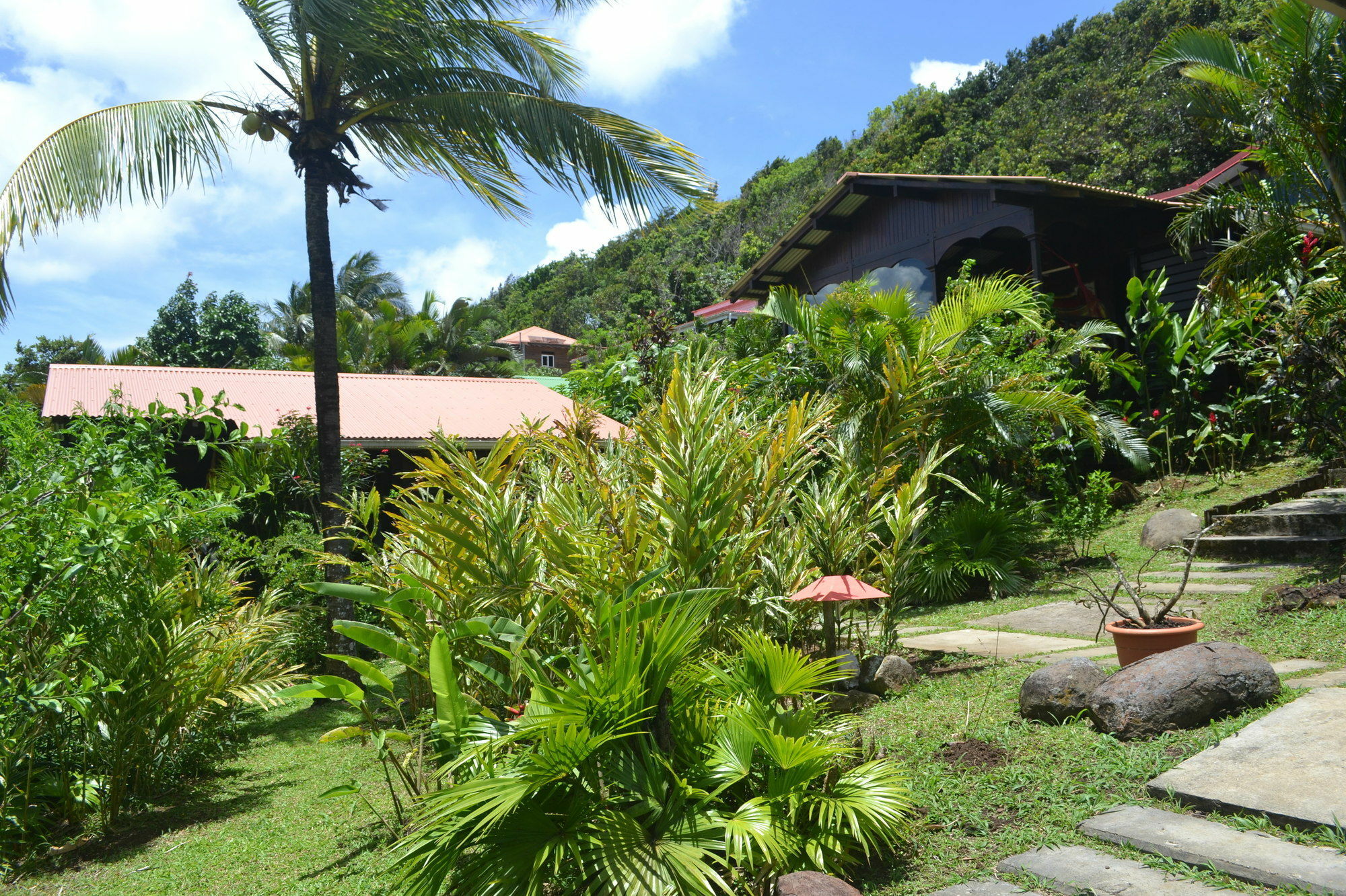 Piton Bungalows Ecolodges Deshaies Exteriér fotografie