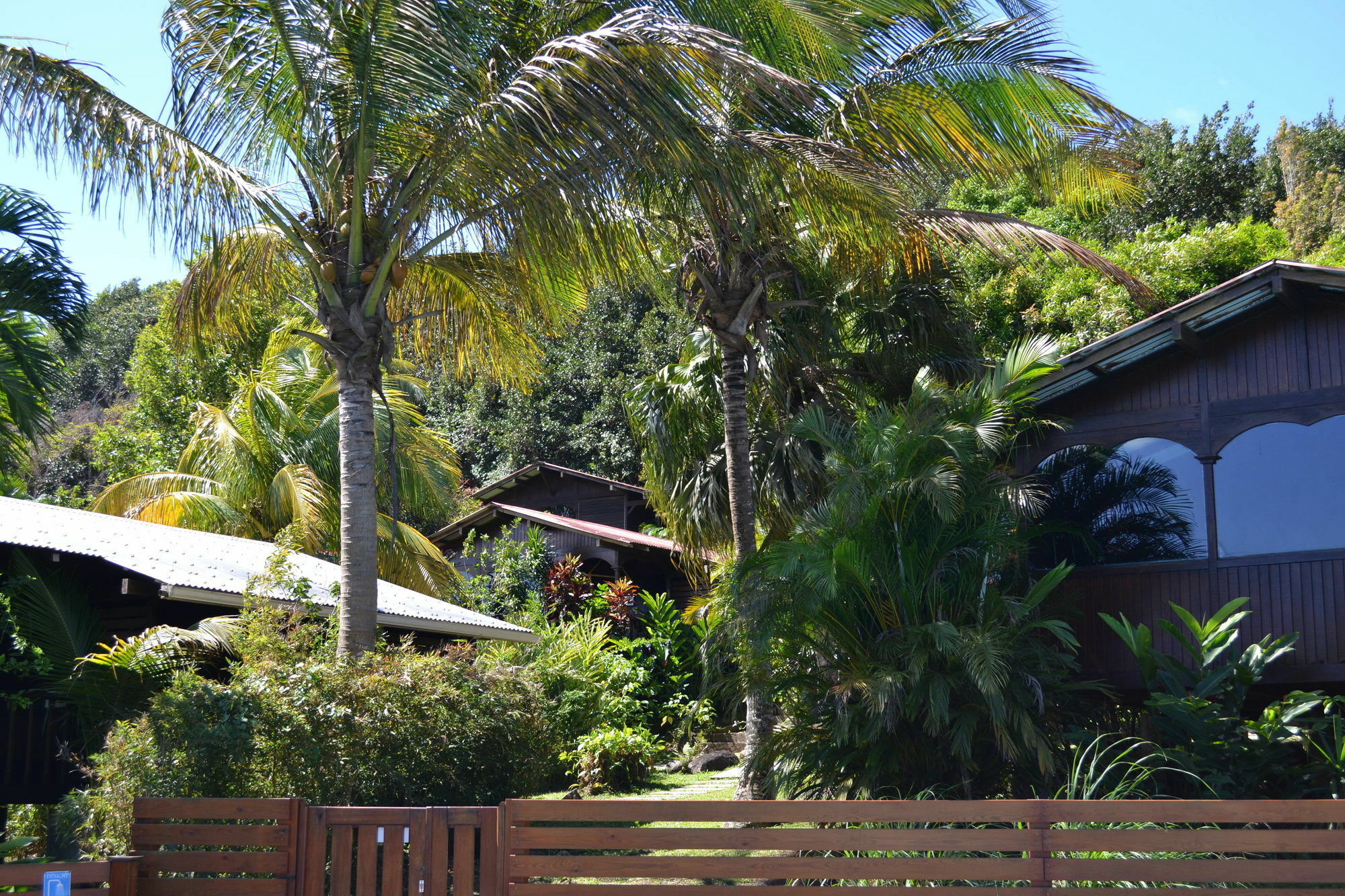 Piton Bungalows Ecolodges Deshaies Exteriér fotografie